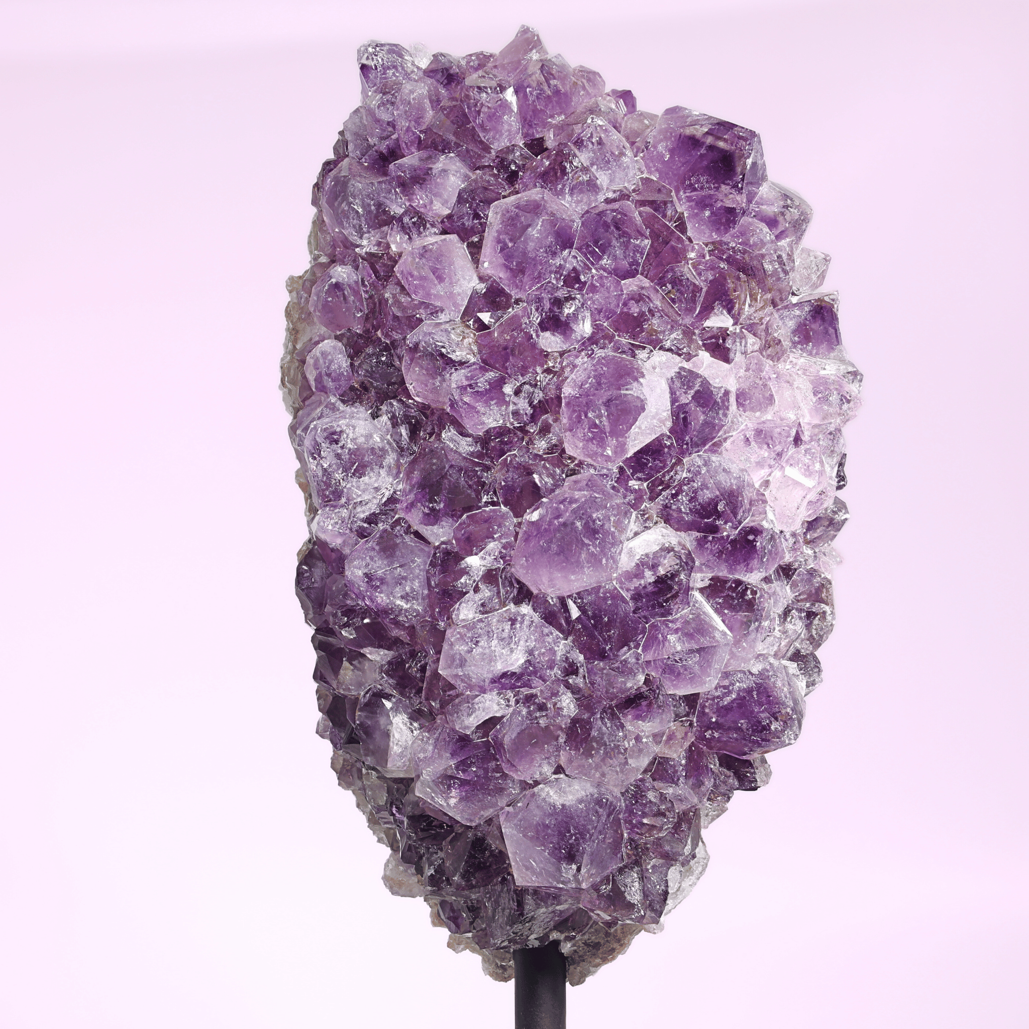 Große Amethyst Druse auf Ständer