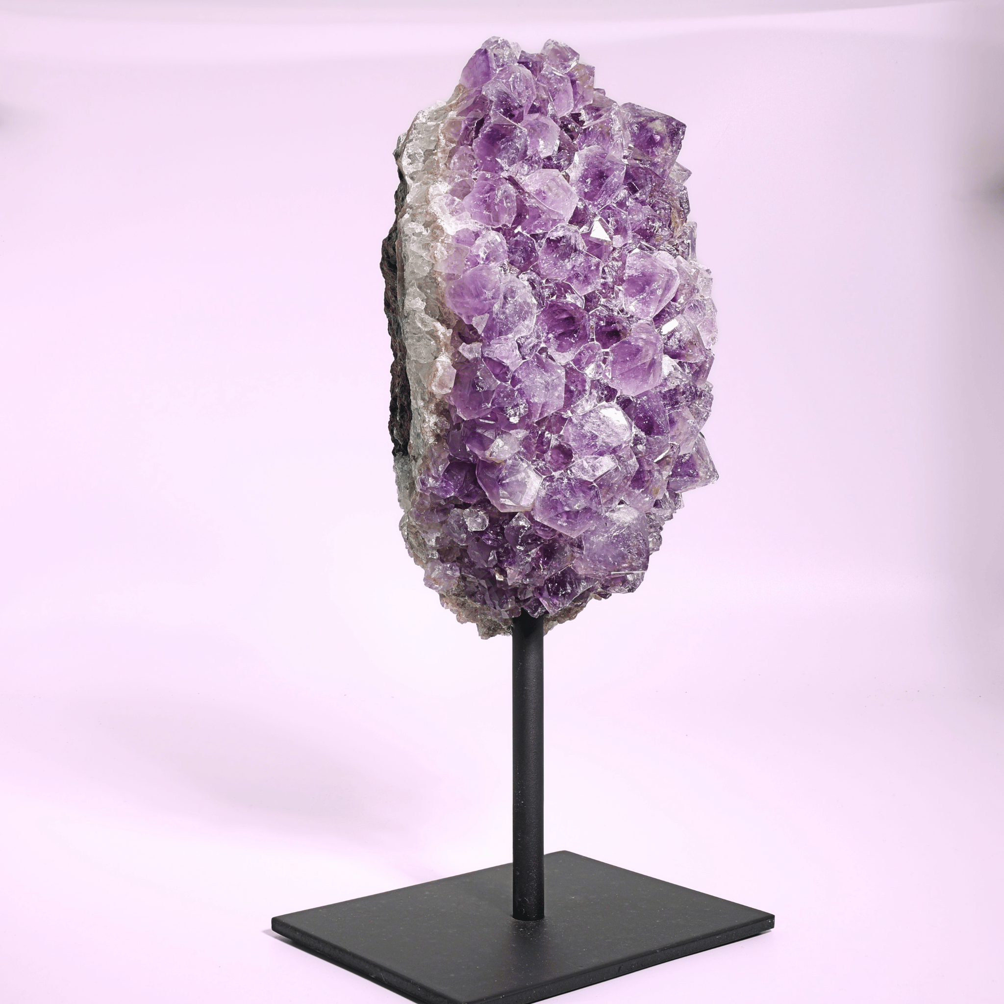Große Amethyst Druse auf Ständer
