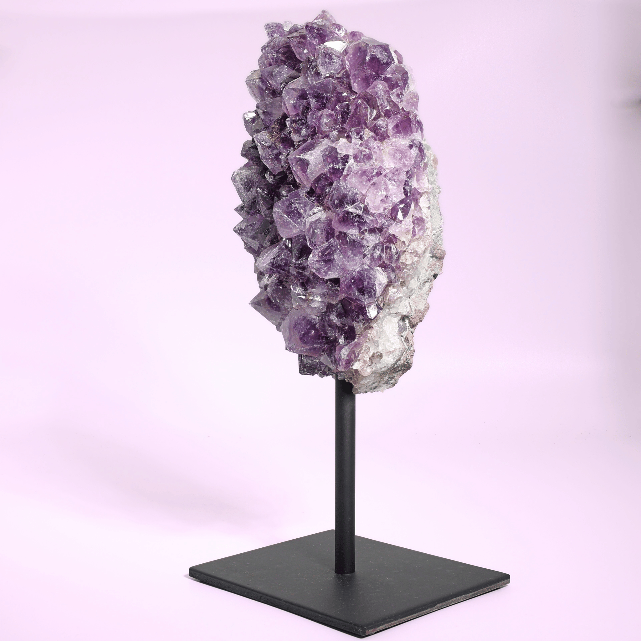 Große Amethyst Druse auf Ständer