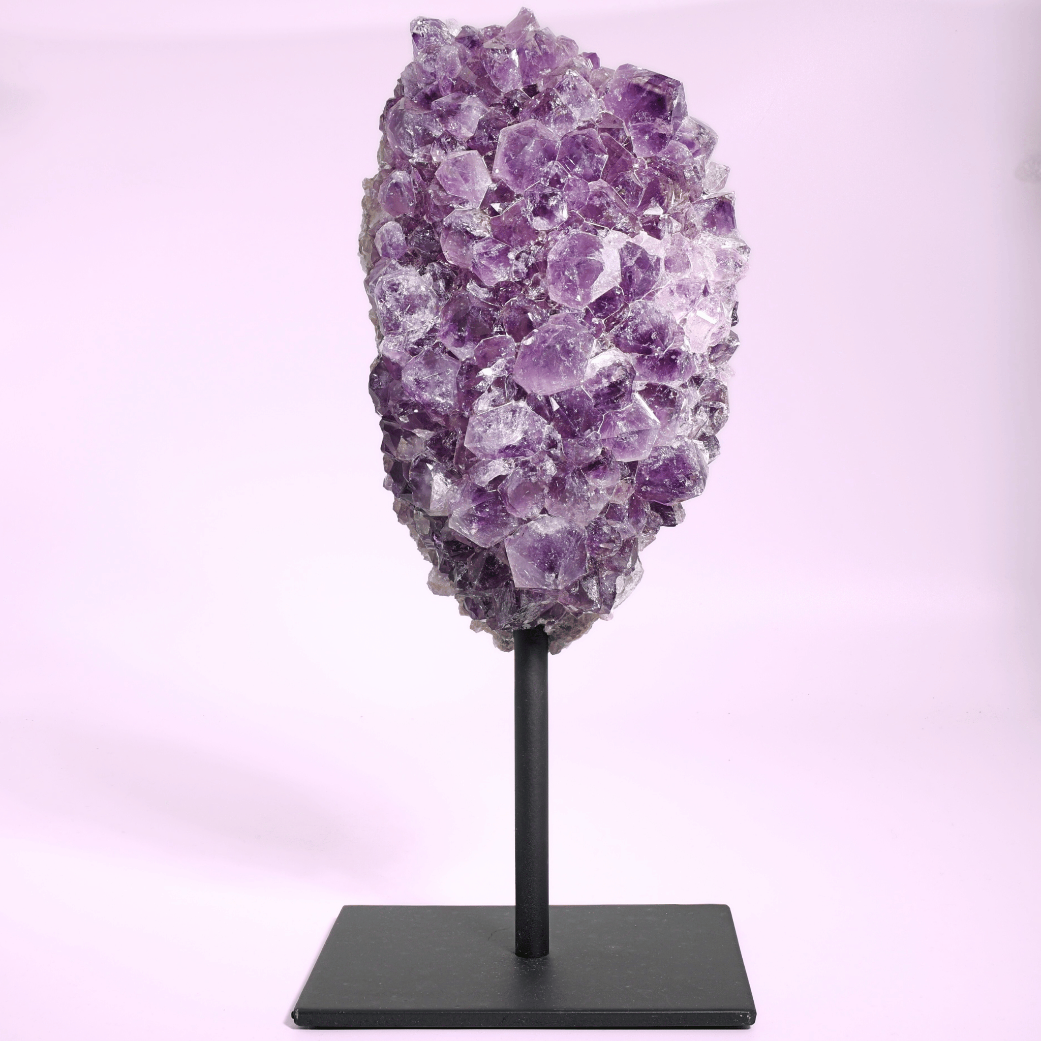 Große Amethyst Druse auf Ständer