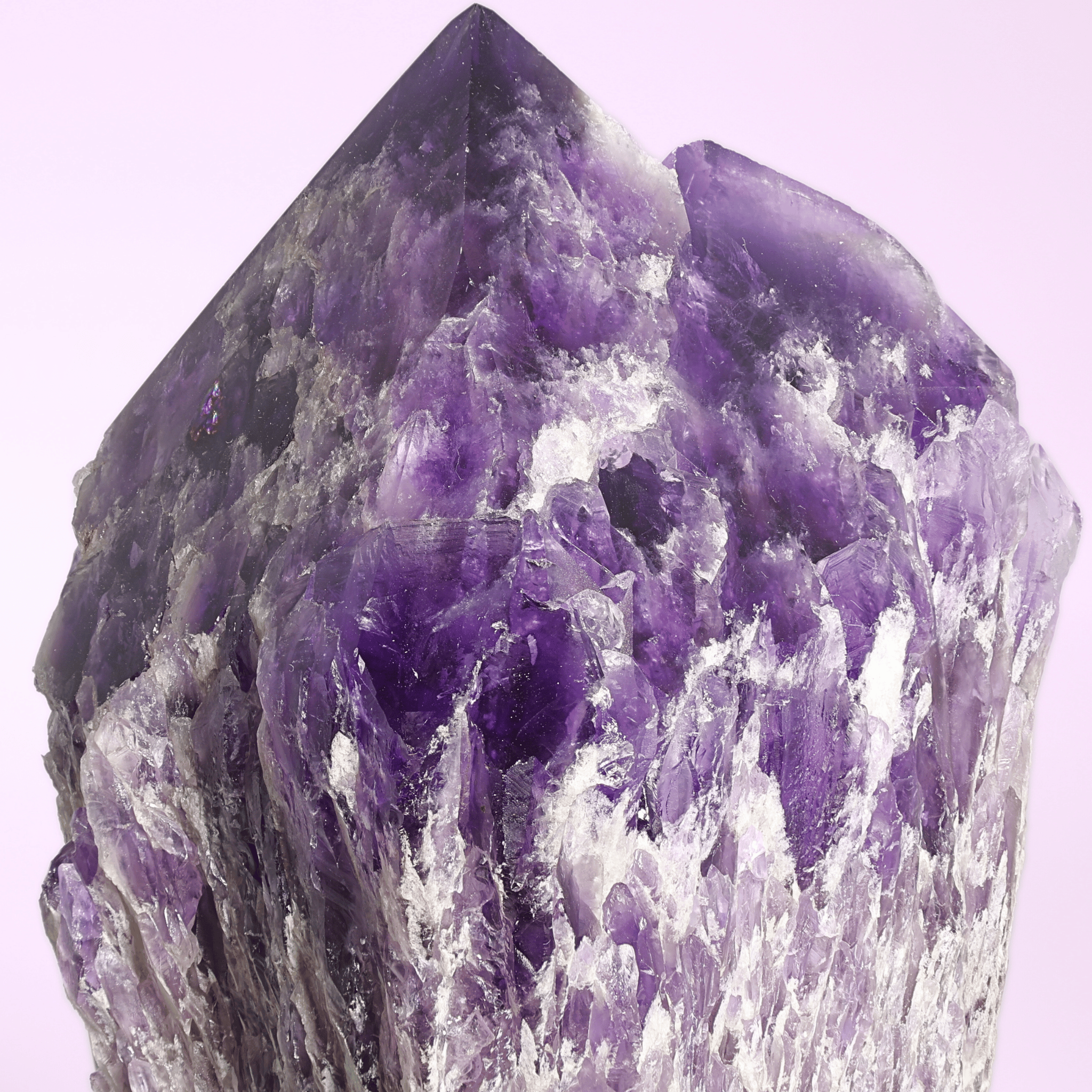 Große Amethyst Druse auf Ständer