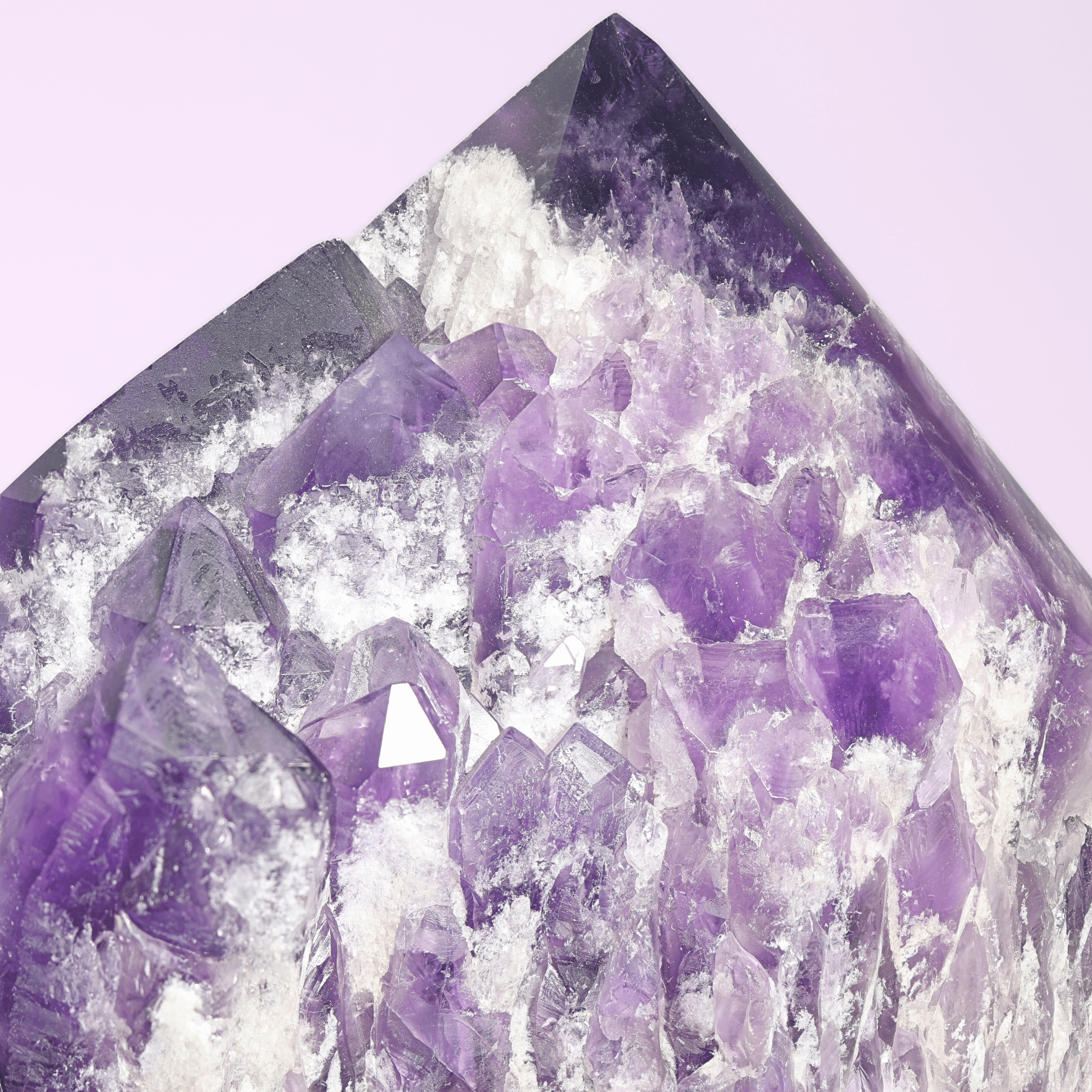 Große Amethyst Druse auf Ständer