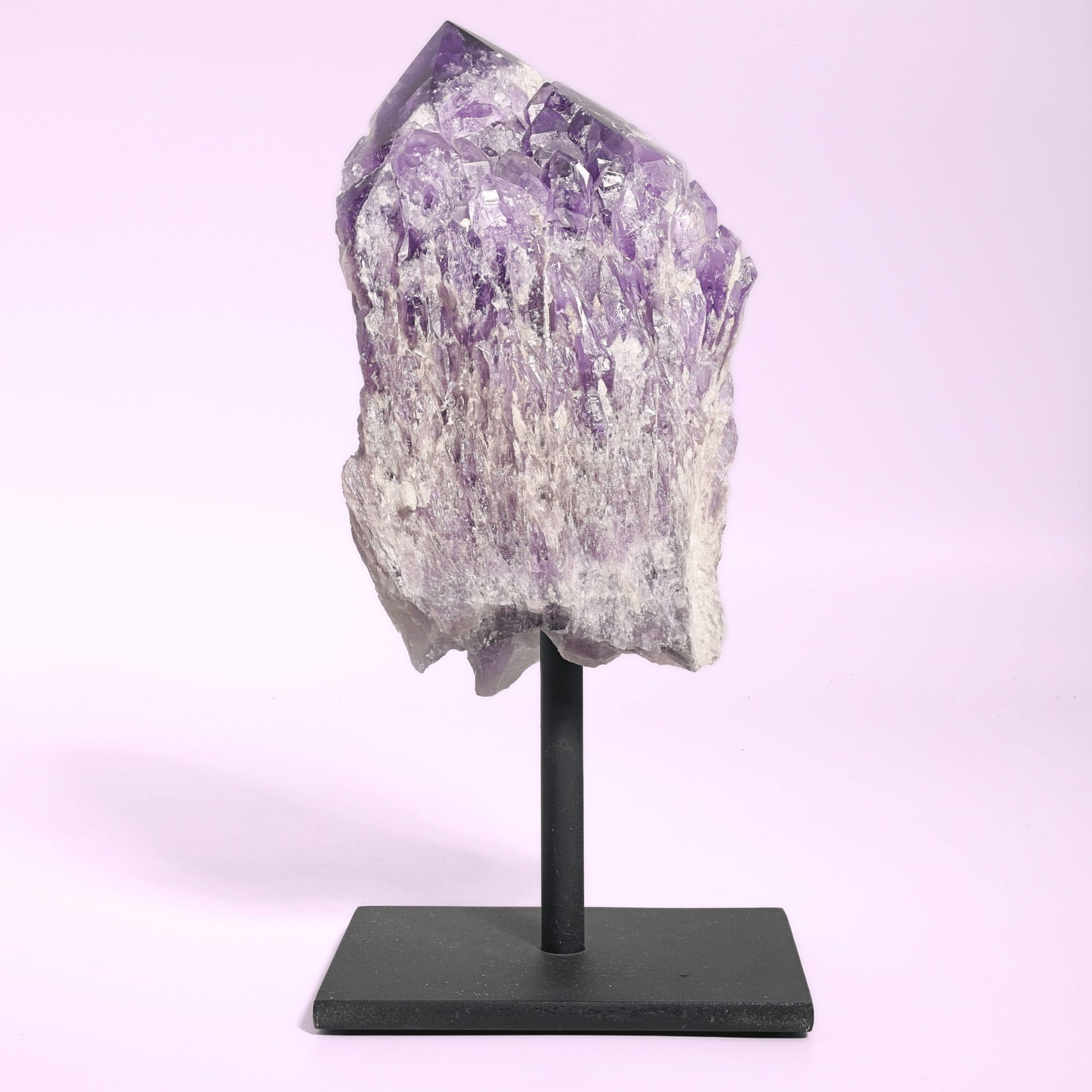 Große Amethyst Druse auf Ständer