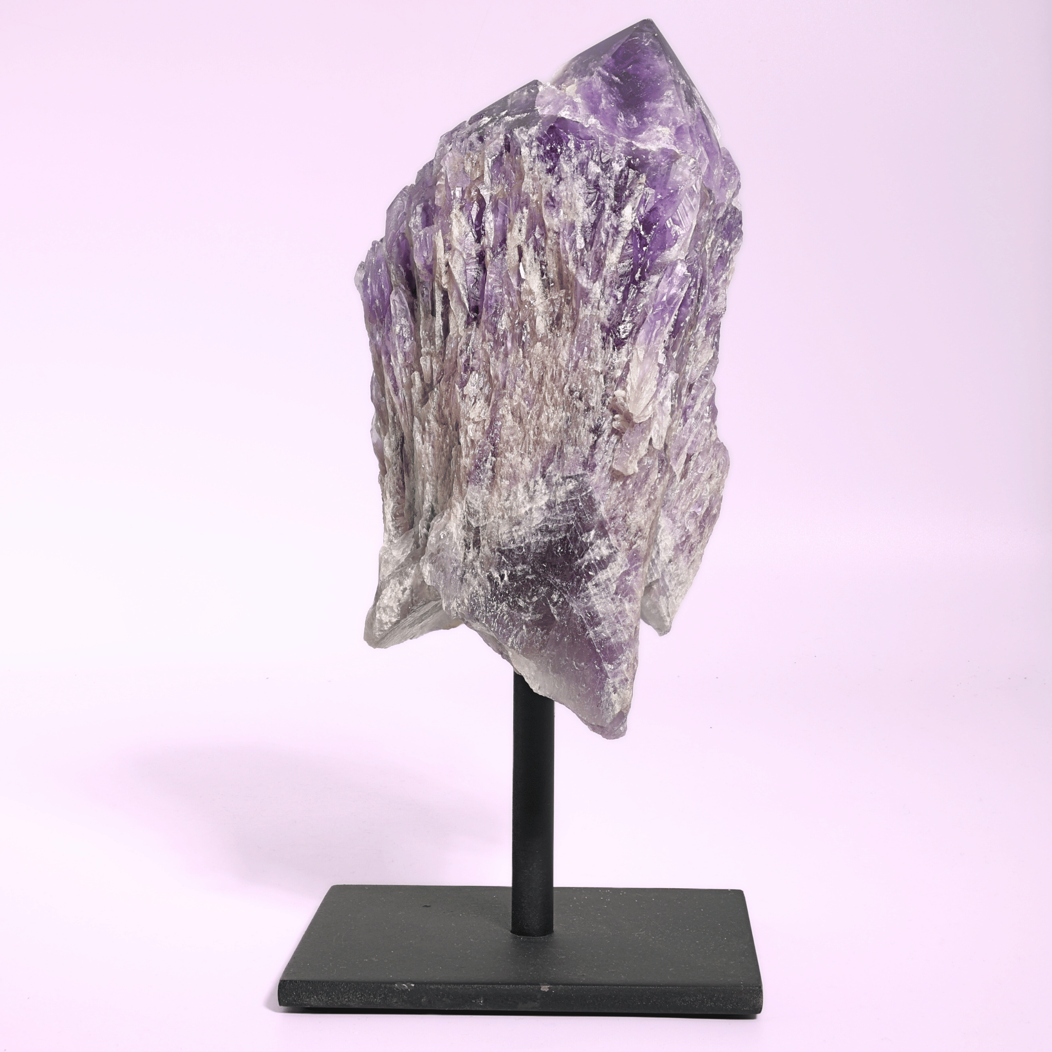 Große Amethyst Druse auf Ständer