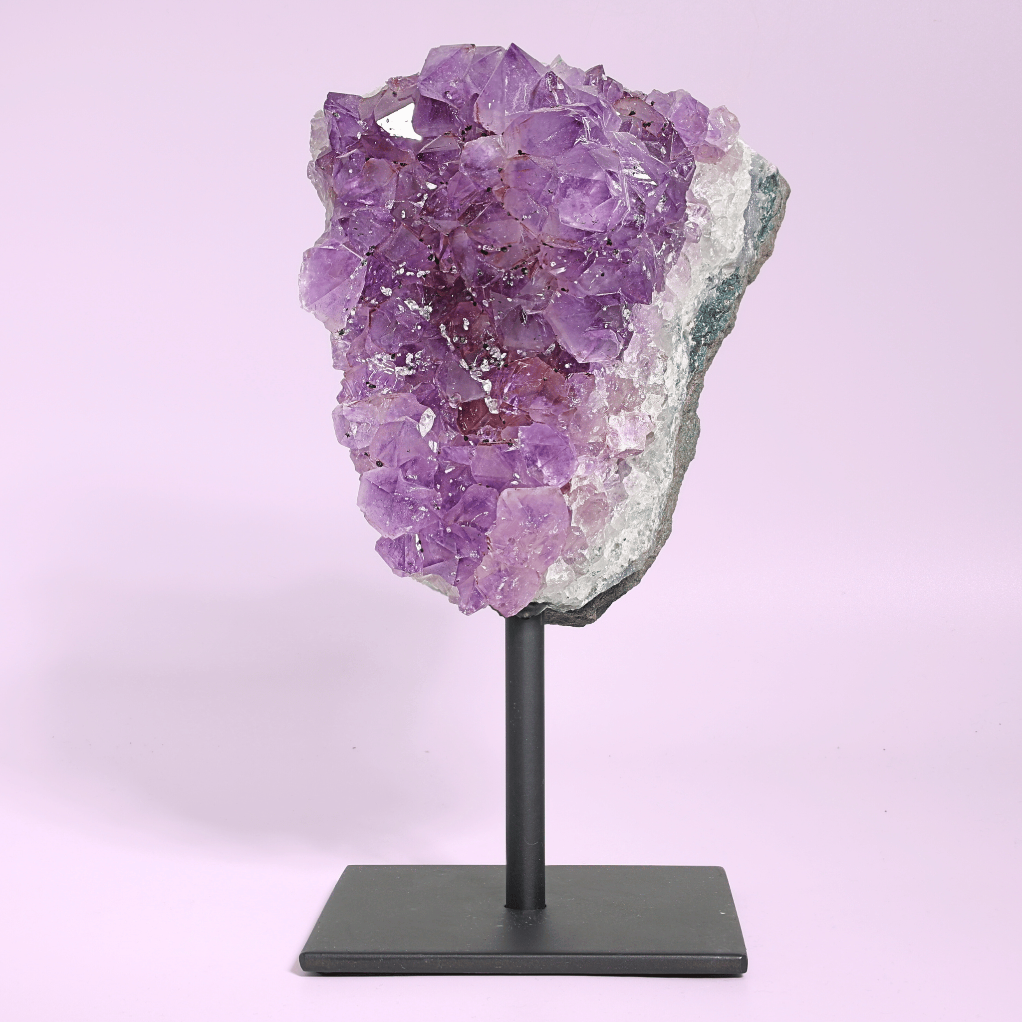 Große Amethyst Druse auf Ständer