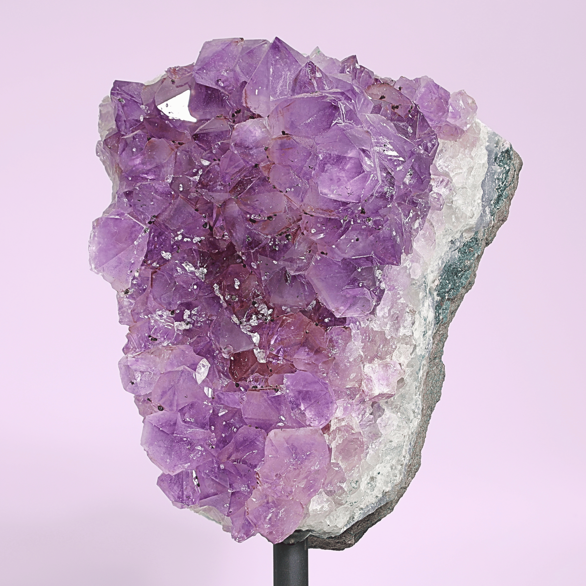 Große Amethyst Druse auf Ständer