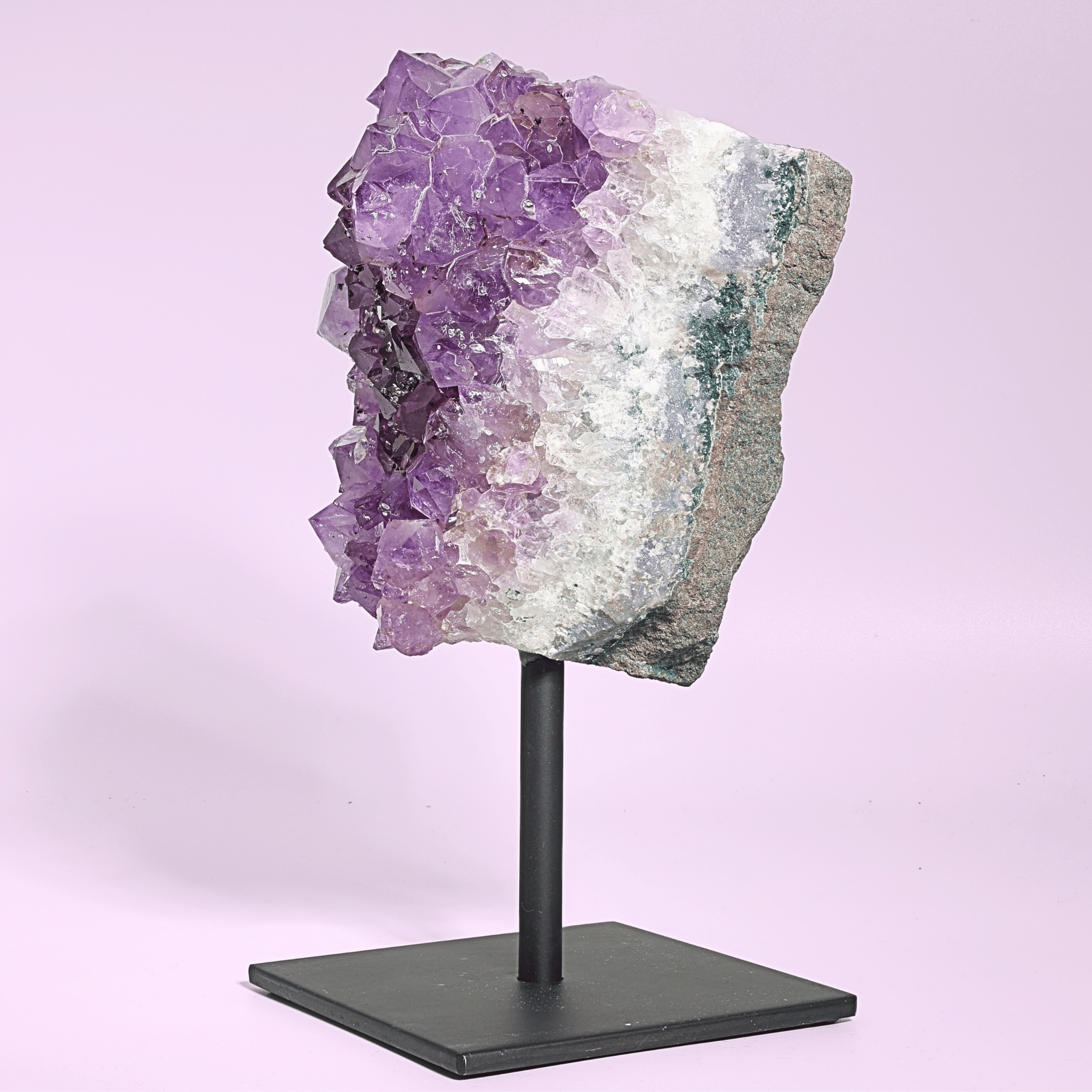 Große Amethyst Druse auf Ständer