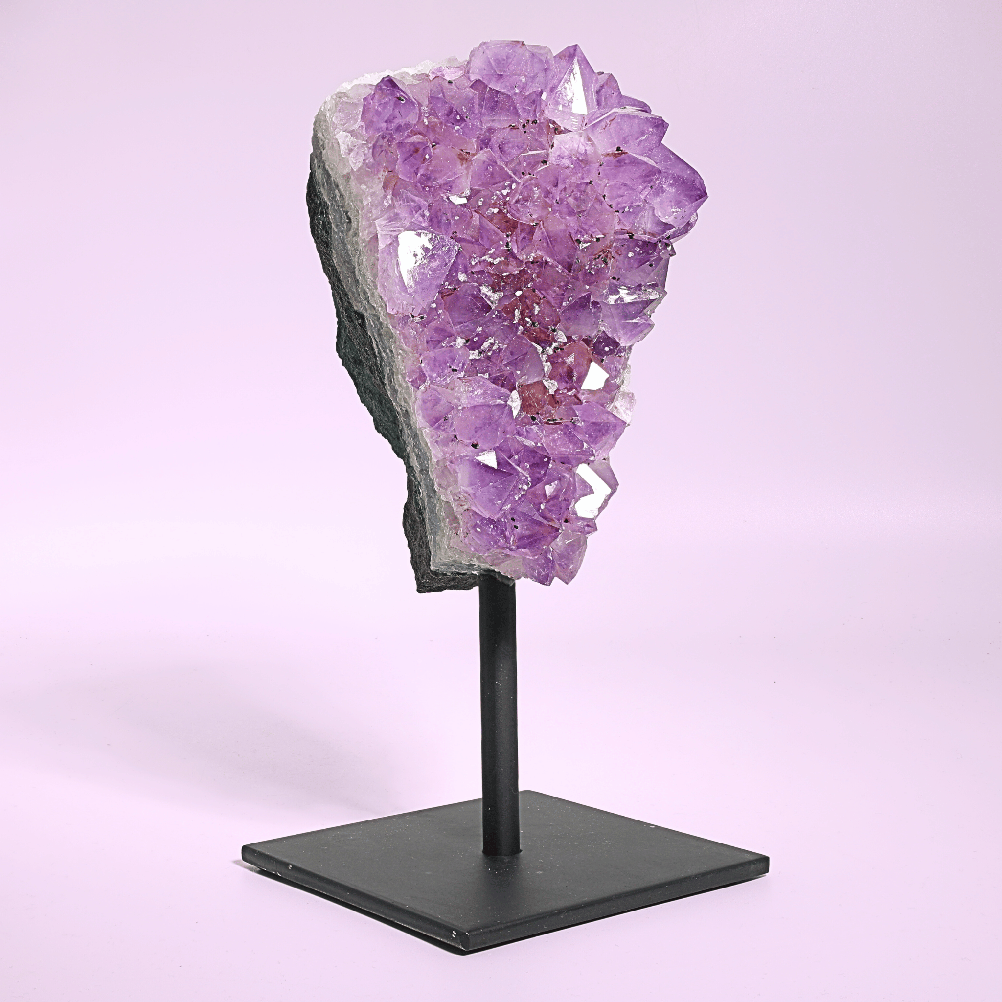 Große Amethyst Druse auf Ständer