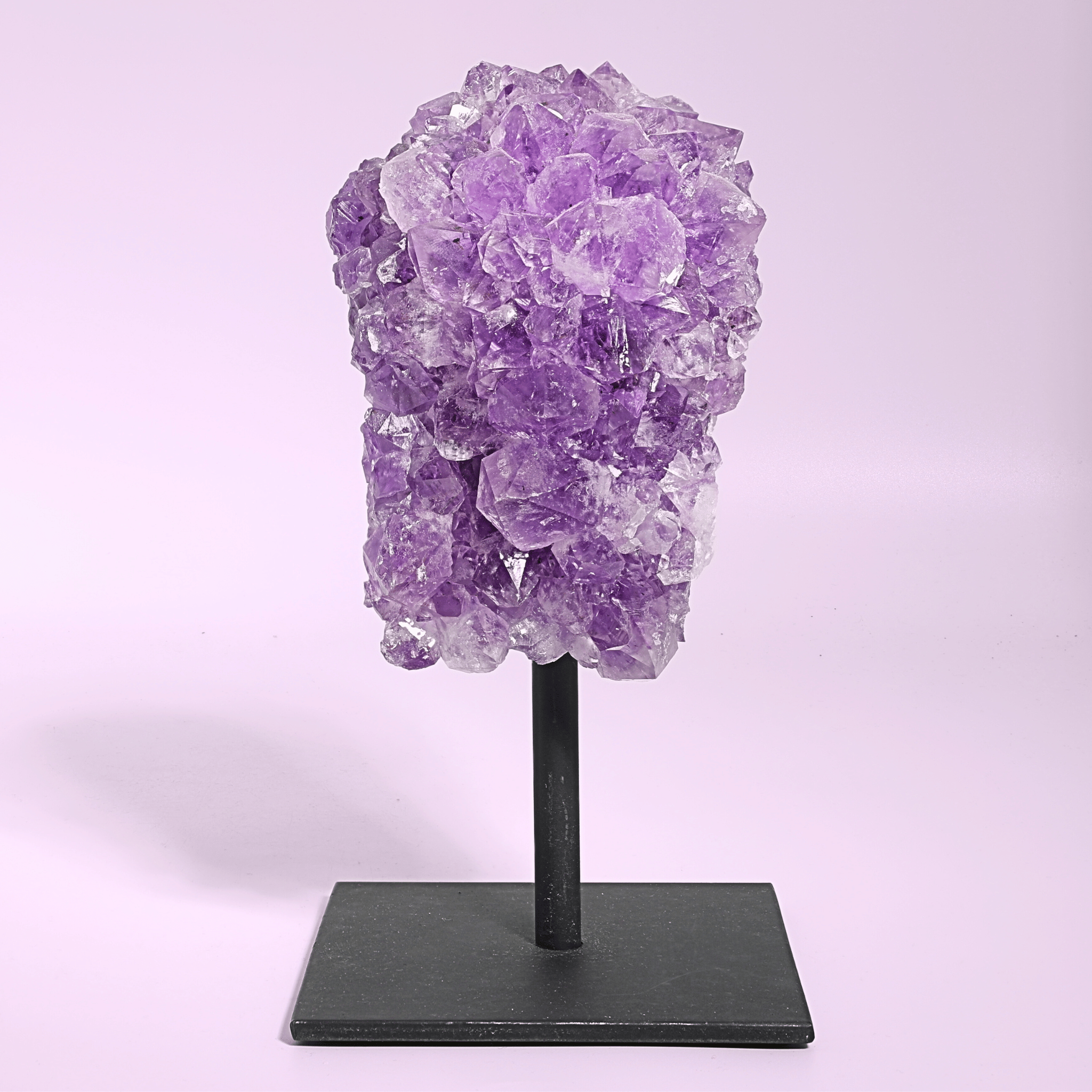 Große Amethyst Druse auf Ständer