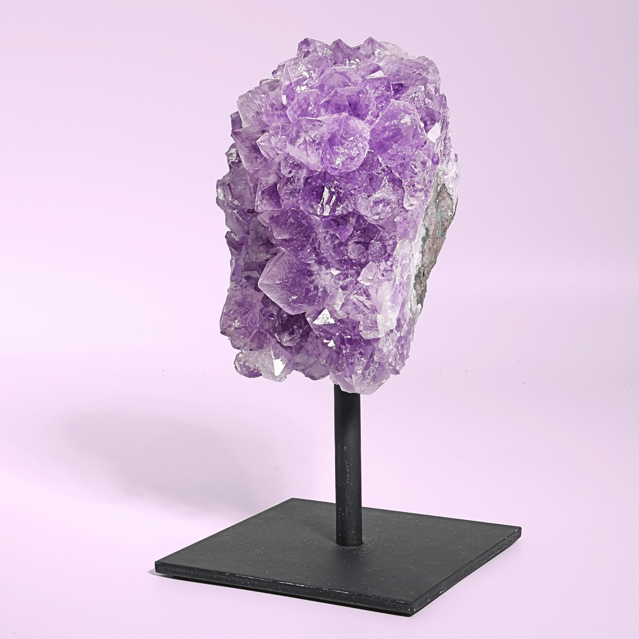 Große Amethyst Druse auf Ständer