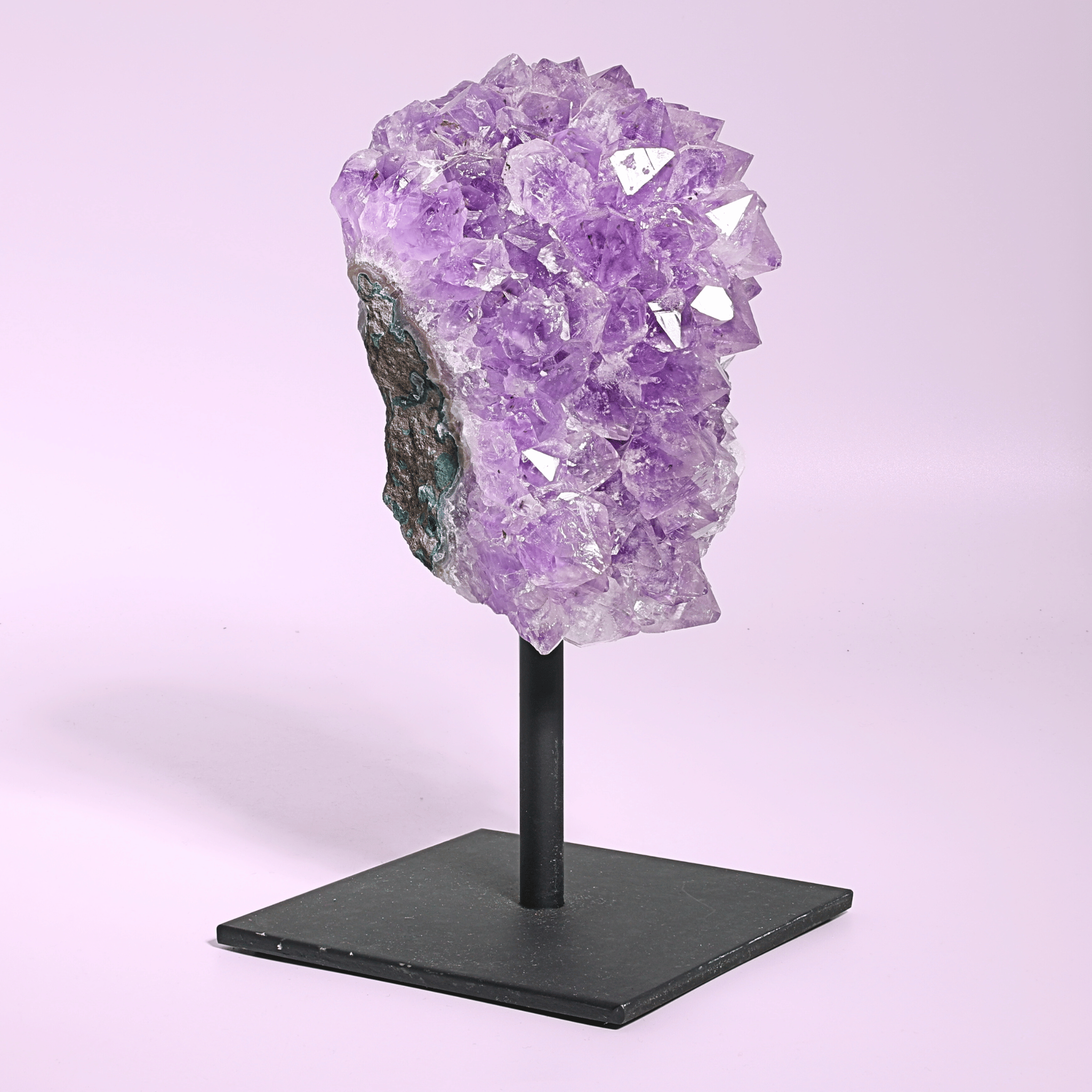 Große Amethyst Druse auf Ständer