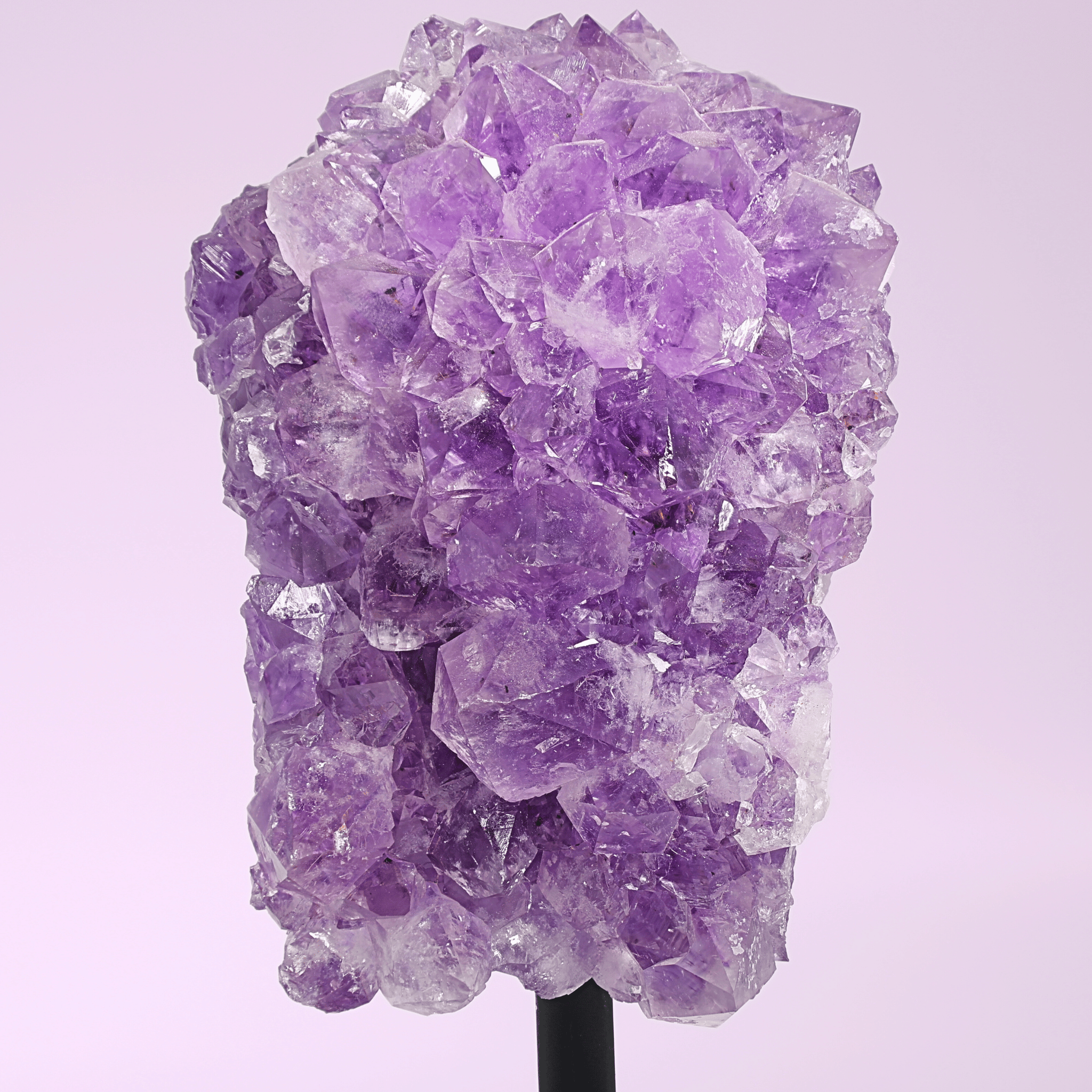 Große Amethyst Druse auf Ständer