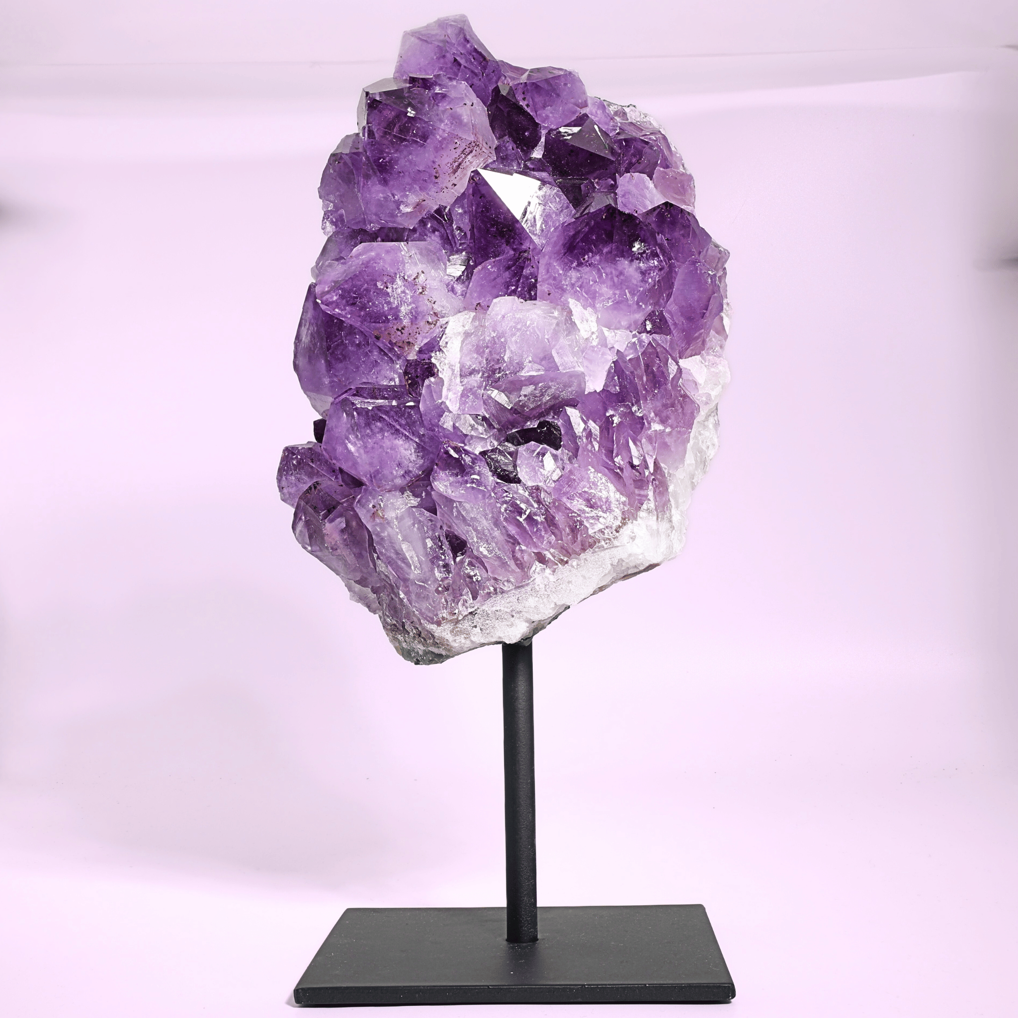 Große Amethyst Druse auf Ständer