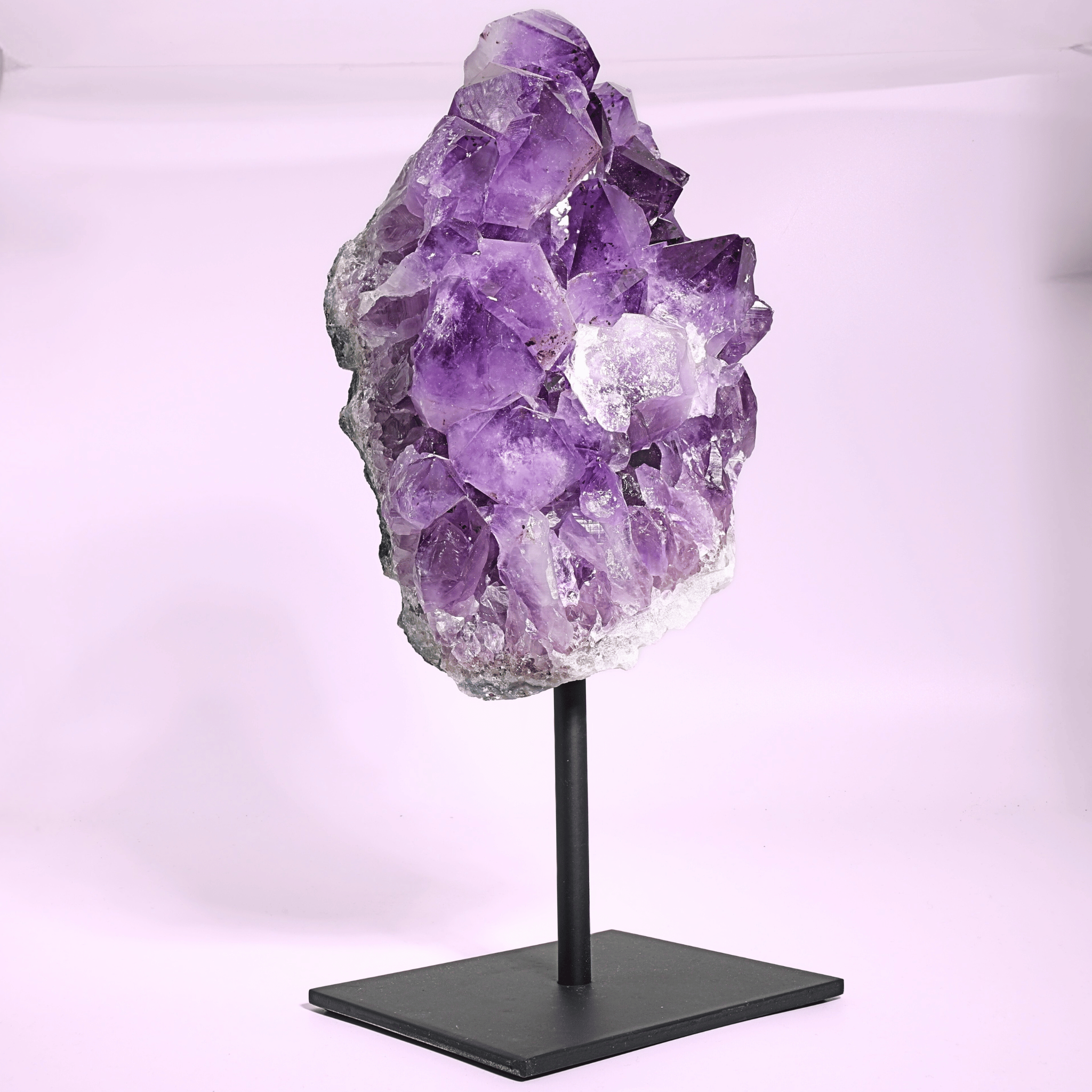Große Amethyst Druse auf Ständer