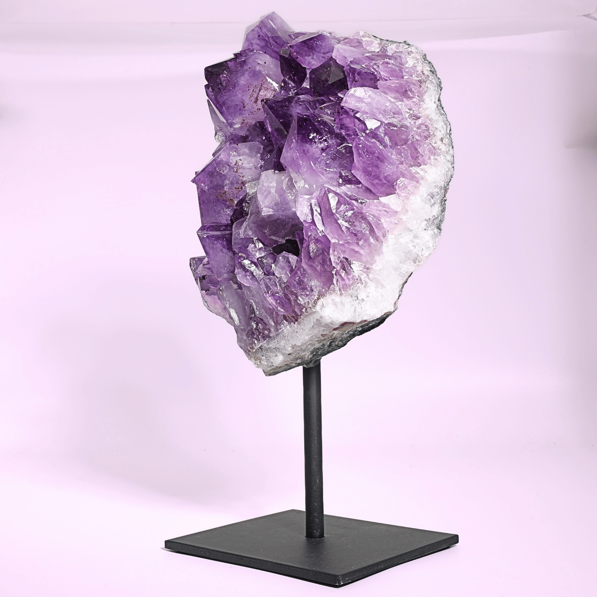 Große Amethyst Druse auf Ständer