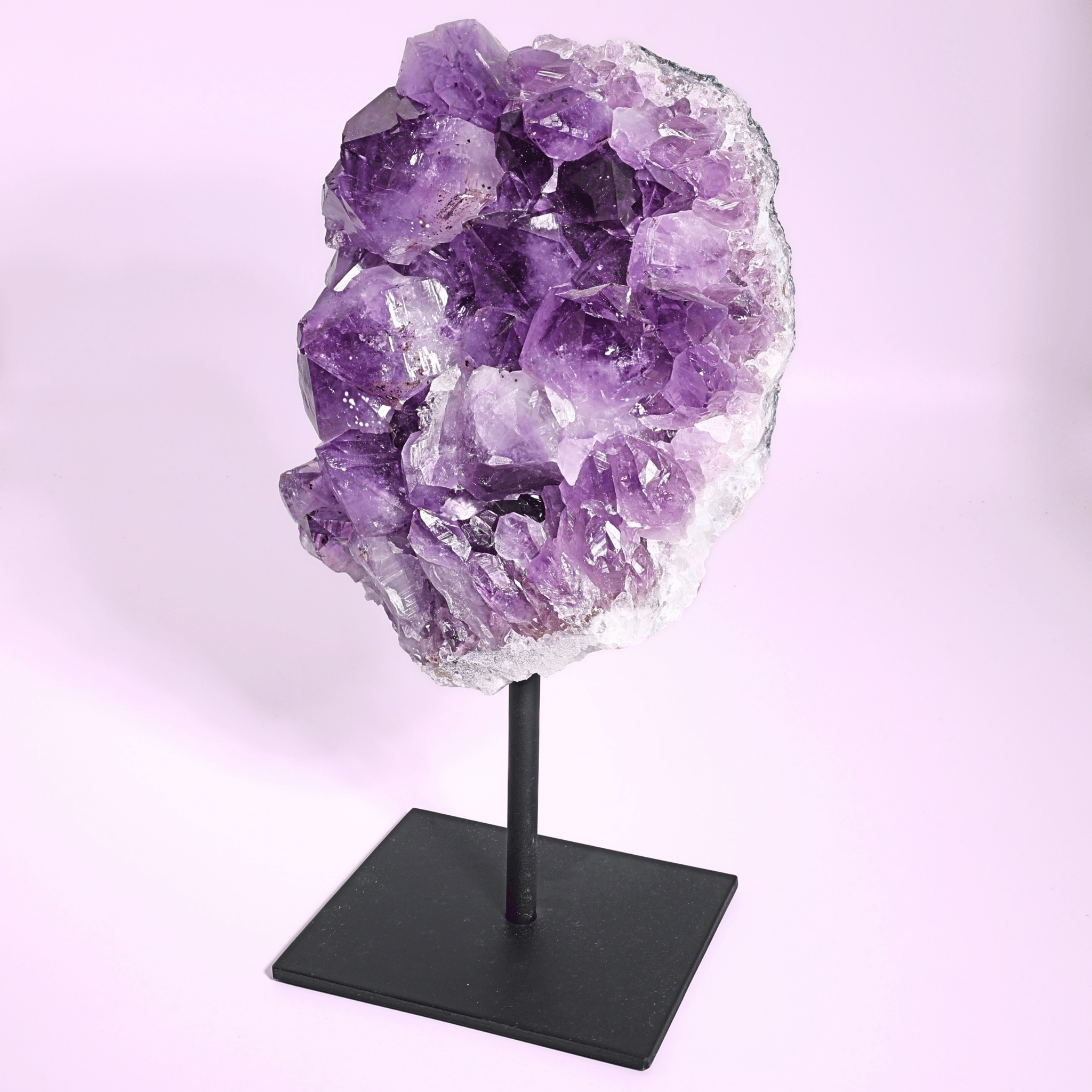 Große Amethyst Druse auf Ständer