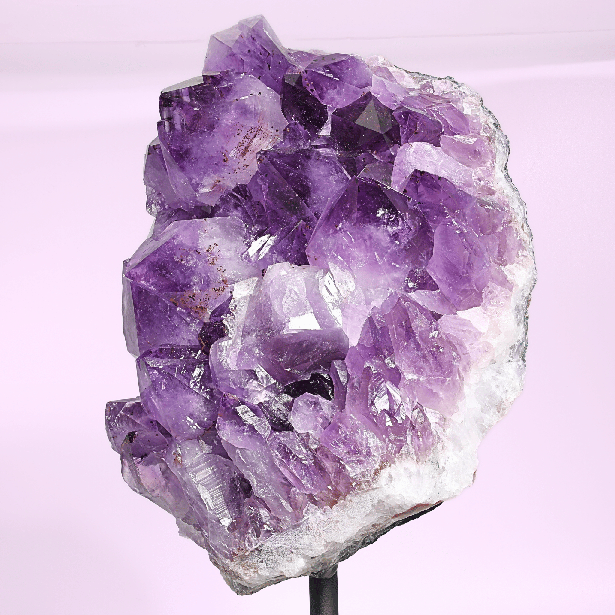 Große Amethyst Druse auf Ständer