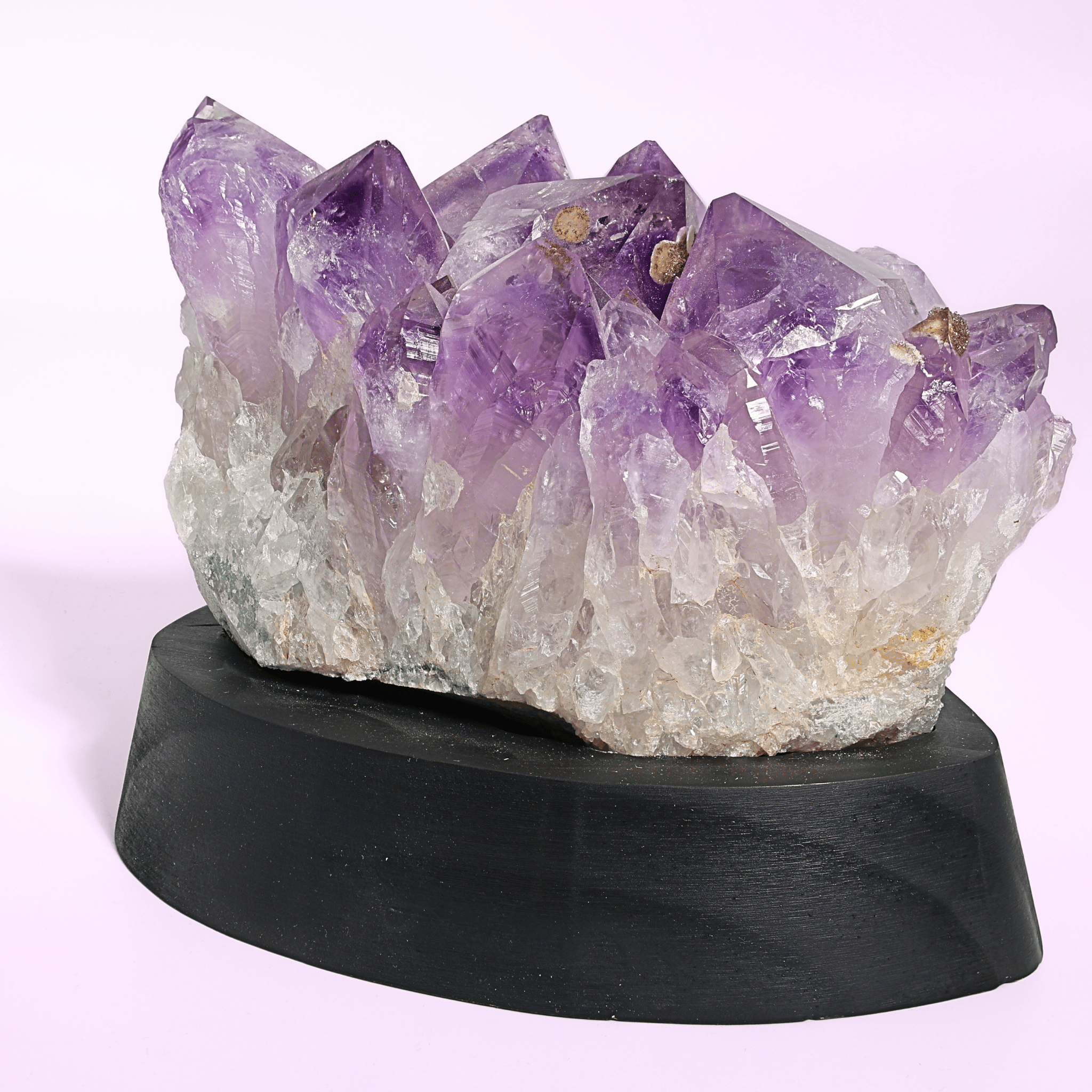Große Amethyst Druse auf Ständer