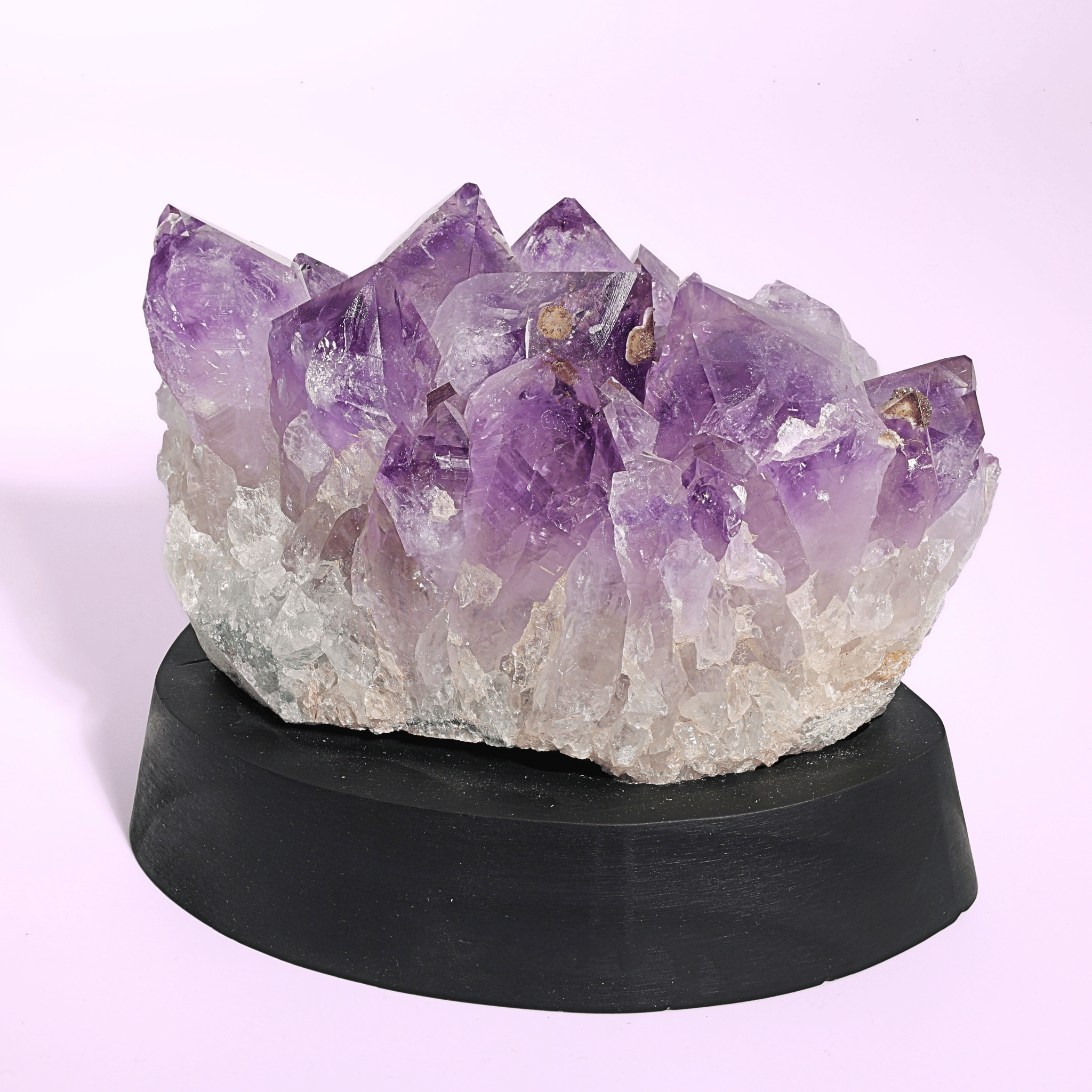 Große Amethyst Druse auf Ständer