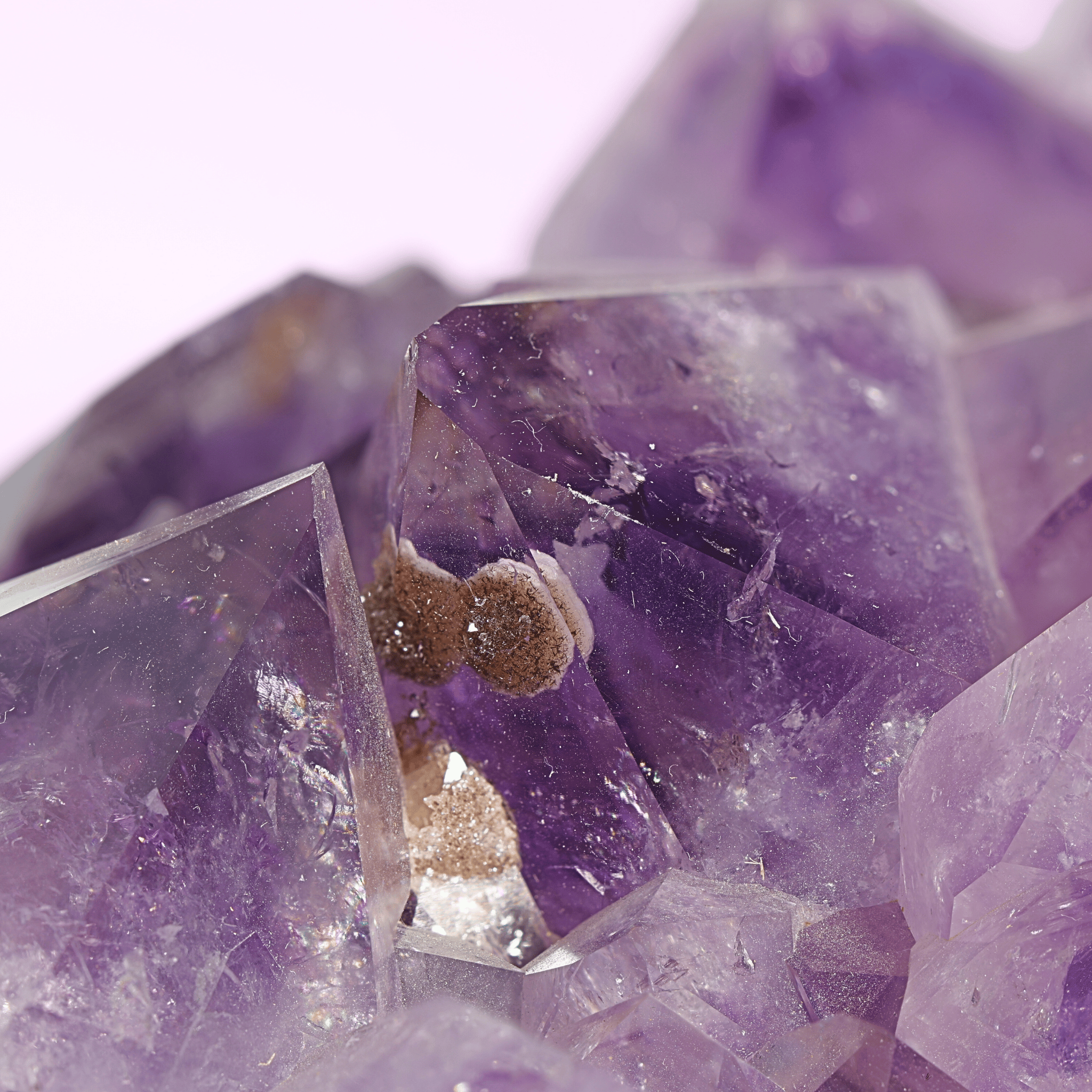 Große Amethyst Druse auf Ständer