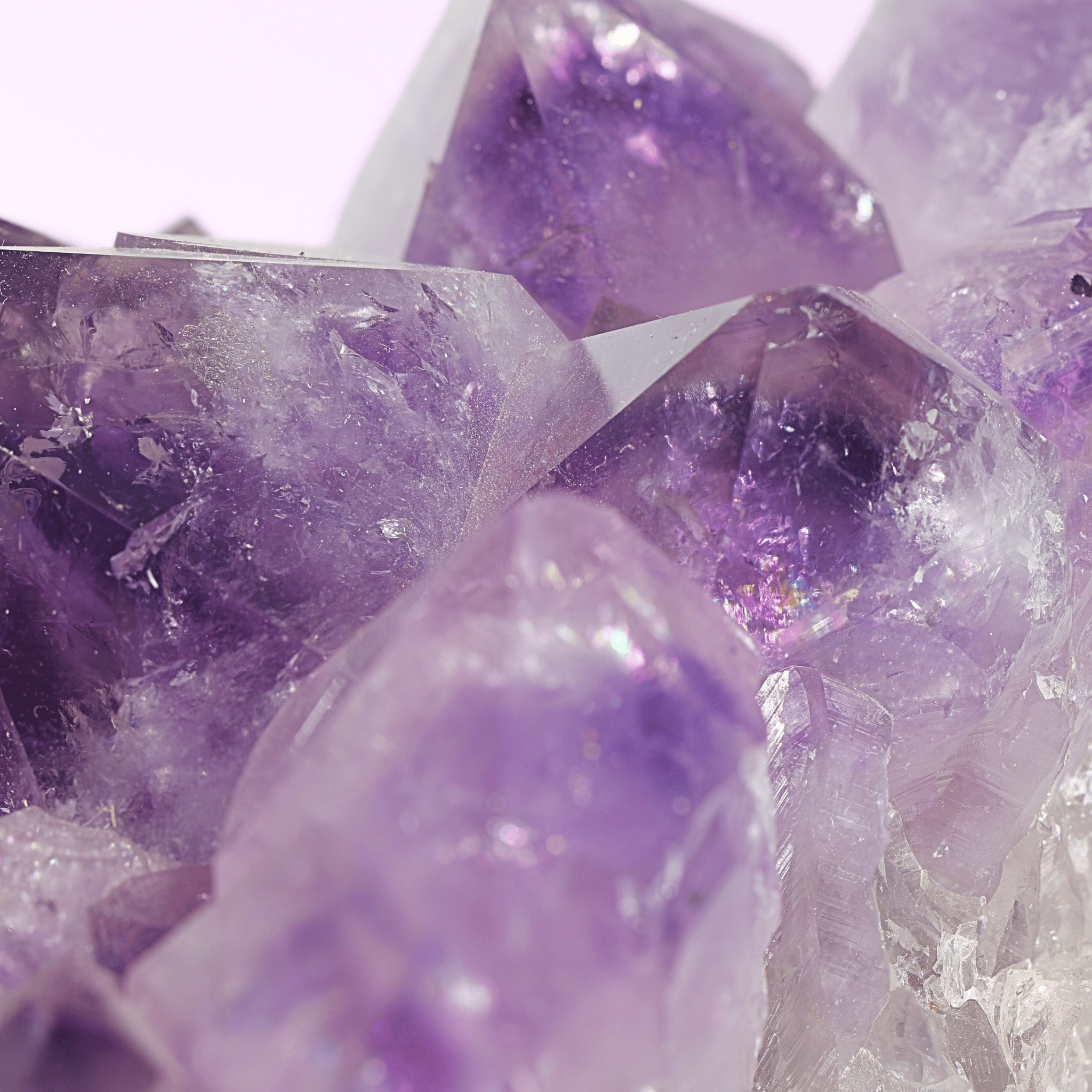 Große Amethyst Druse auf Ständer