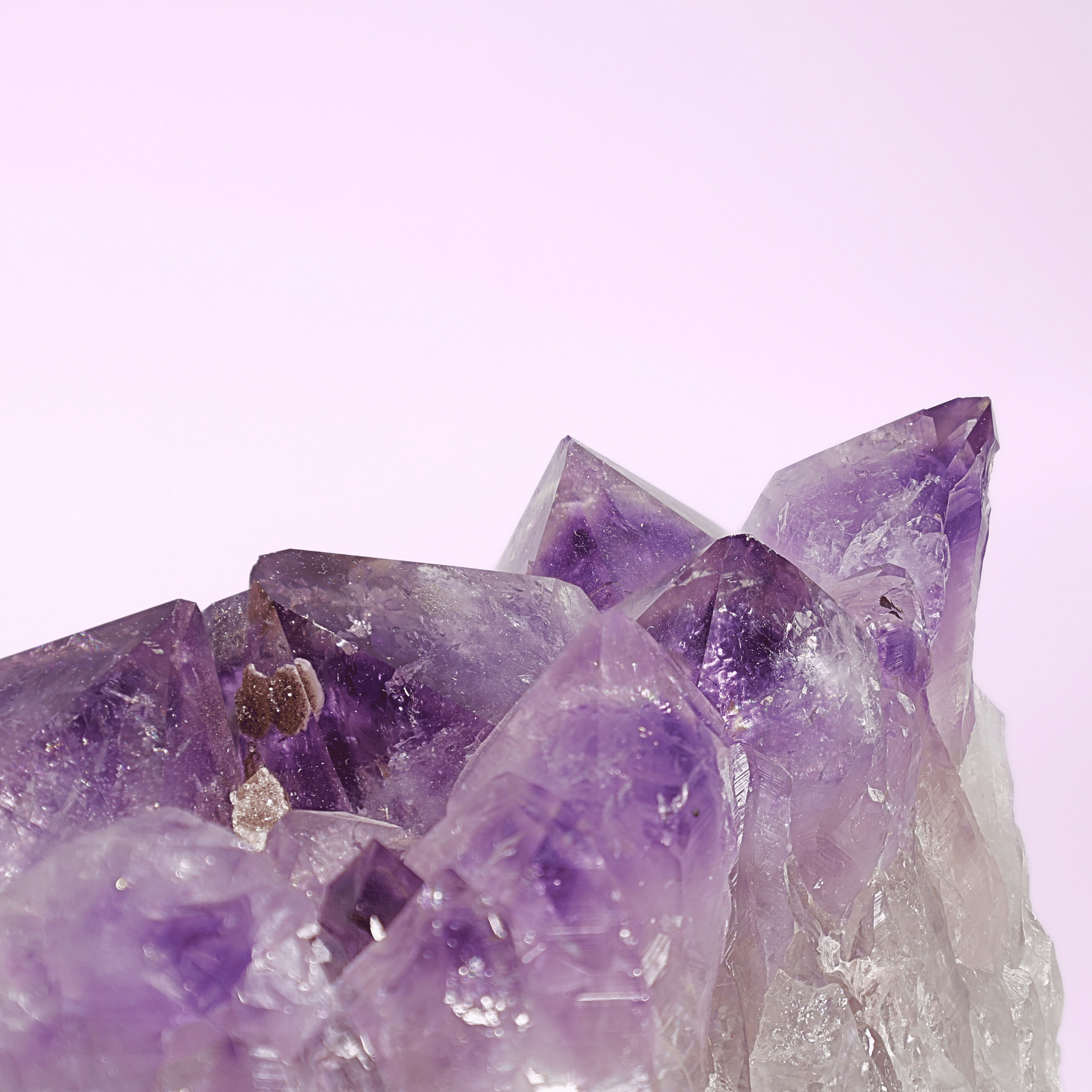 Große Amethyst Druse auf Ständer