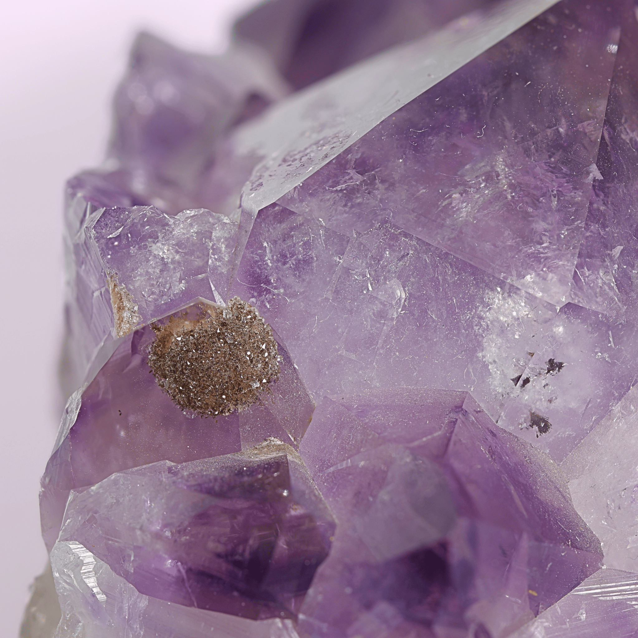 Große Amethyst Druse auf Ständer